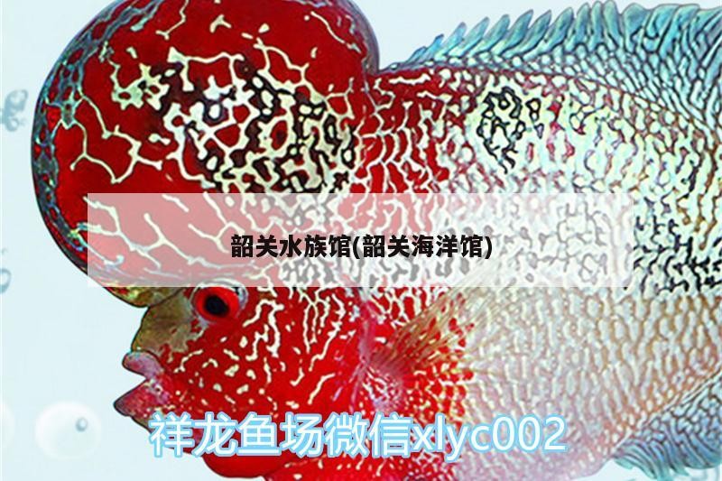 韶關水族館(韶關海洋館)