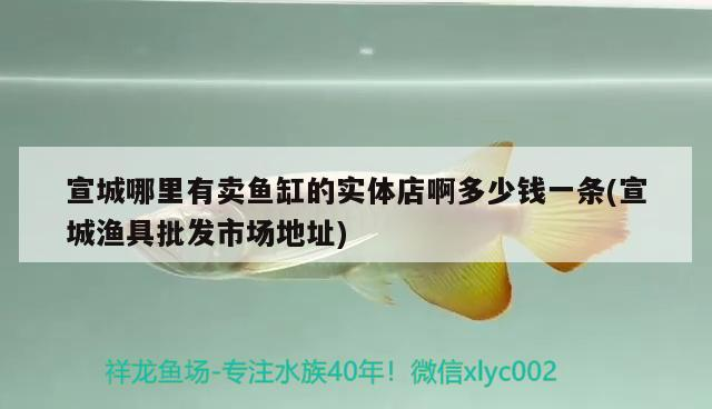 宣城哪里有賣魚缸的實體店啊多少錢一條(宣城漁具批發(fā)市場地址)