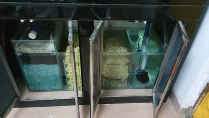 帶蓋子的魚缸怎么把蓋子拆了下來：帶蓋子的魚缸拆卸蓋子的方法