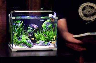 大型養殖魚缸過濾系統