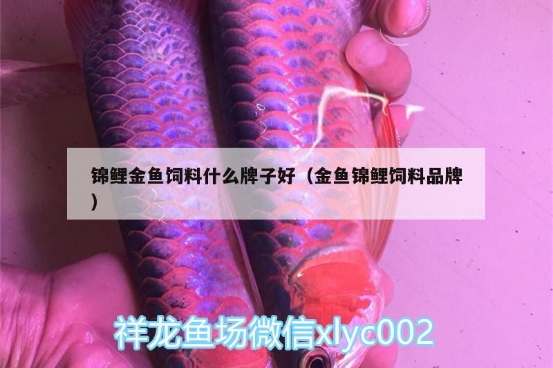 錦鯉金魚飼料什么牌子好（金魚錦鯉飼料品牌）
