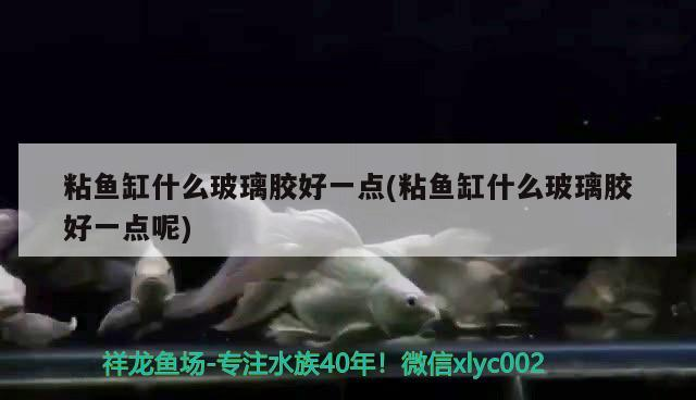 粘魚缸什么玻璃膠好一點(粘魚缸什么玻璃膠好一點呢)