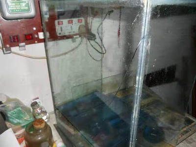 玻璃魚缸開裂如何處理最好：處理玻璃魚缸開裂的幾種方法：玻璃膠修補方法 玻璃魚缸開裂如何處理最好：處理玻璃魚缸開裂的幾種方法：玻璃膠修補方法 魚缸百科 第1張