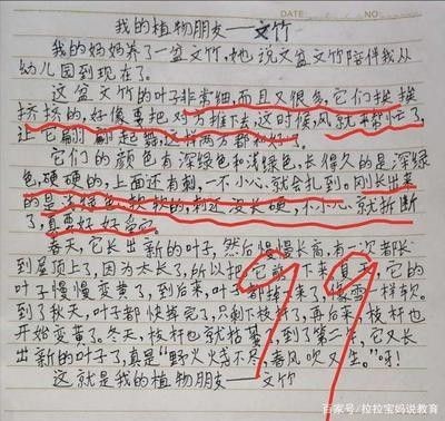 龍魚的養護與鑒賞作文400字左右三年級