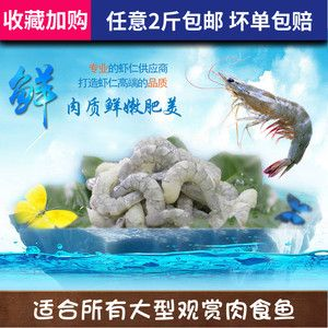 魟魚飼料選擇與處理方法：魟魚飼料的選擇與處理