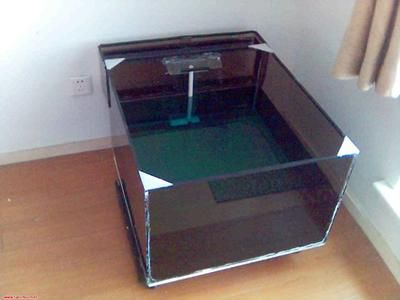 茶幾魚缸過濾系統：自制茶幾魚缸過濾系統需要考慮以下幾個因素