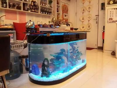 定做的魚缸和買的魚缸有什么不同之處：定做的魚缸和買的魚缸有什么區(qū)別