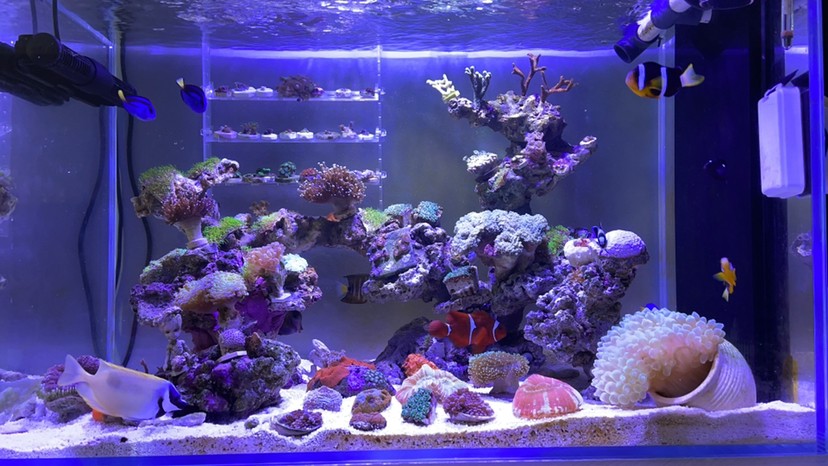 鋪沙一時(shí)爽手賤更加爽