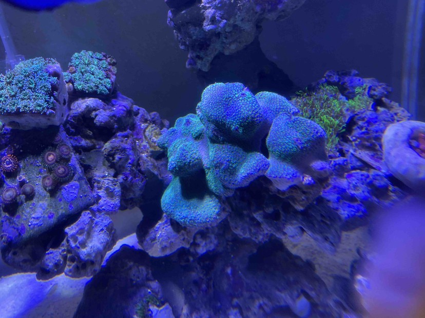 鋪沙一時(shí)爽手賤更加爽