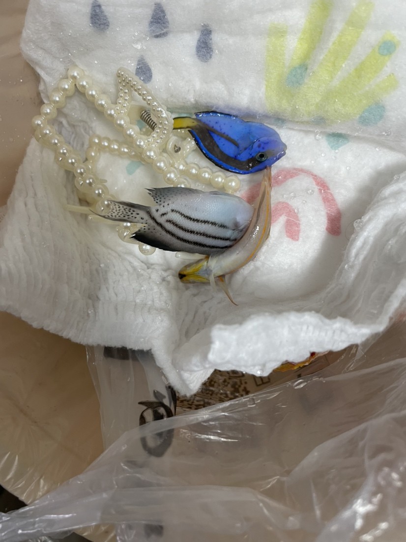 鋪沙一時(shí)爽手賤更加爽