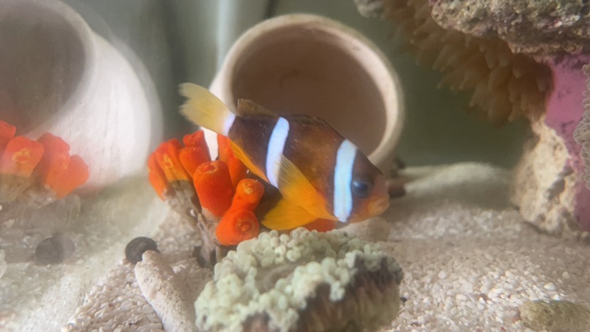 鋪沙一時(shí)爽手賤更加爽