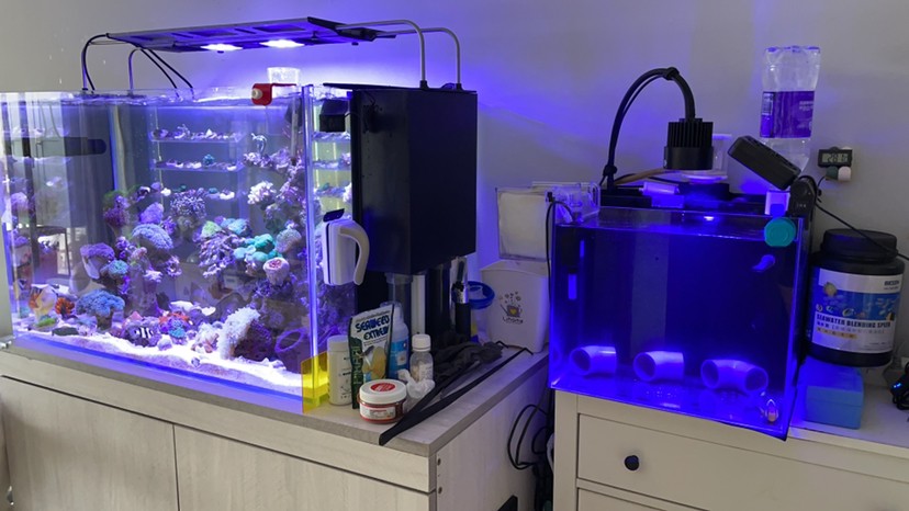 鋪沙一時(shí)爽手賤更加爽