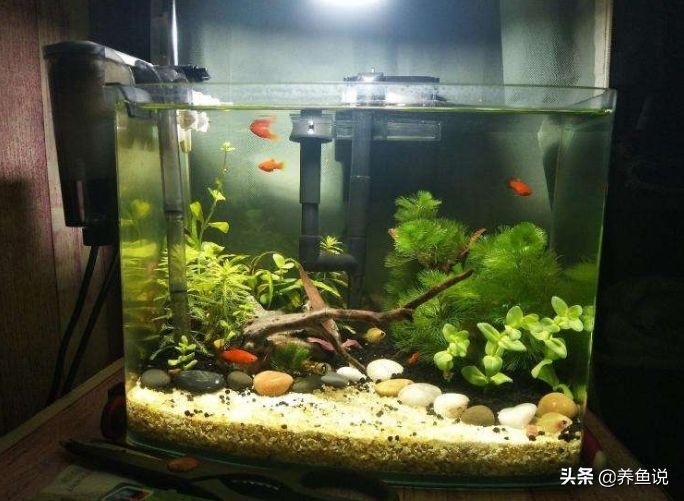 不養魚了魚缸怎么處理掉：不養魚了的魚缸處理方法