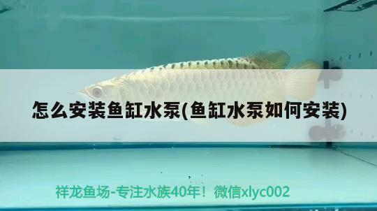 濱州魚缸維修哪家好？，濱州魚缸定做、濱州魚缸維修哪家好