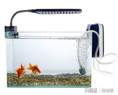 帶氧氣的魚缸怎么換水：帶氧氣的魚缸換水基本步驟和注意事項和注意事項