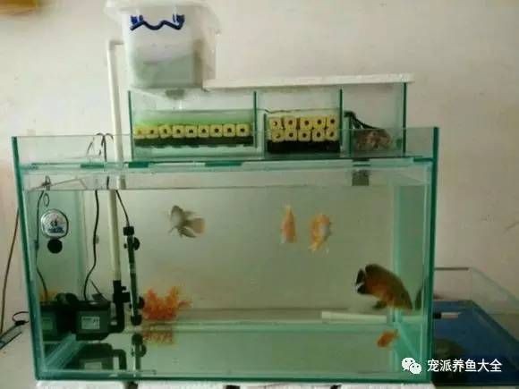giea魚缸過濾怎么安裝giea魚缸過濾怎么安裝魚缸上過濾怎么安裝方法：giea魚缸過濾器安裝和使用方法魚缸過濾器的安裝和使用方法