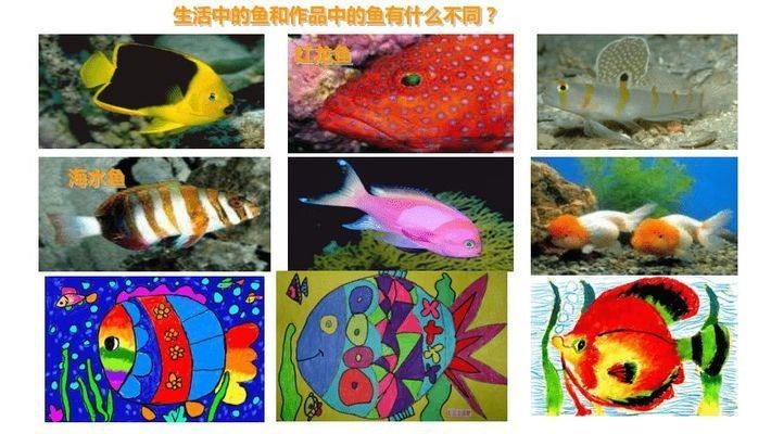 紅龍魚海水魚怎么養殖好：關于紅龍魚的一些飼養特性