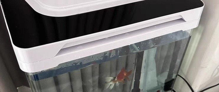 魚缸里的燈光每天照射多長時間（魚缸燈光白天開還是晚上開）