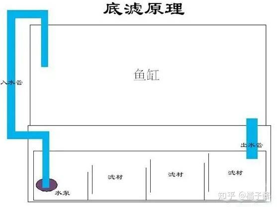 大魚缸清理水泵水管多少錢一個：大魚缸清理水泵水管價格因品牌、功能等因素而異