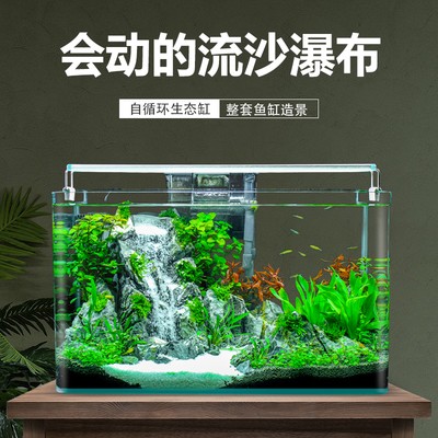 中國斗魚：中國斗魚可以群養嗎