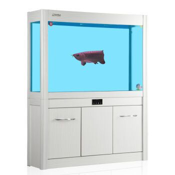 大魚缸品牌：知名大魚缸品牌博宇旗艦店博宇品牌旗艦店博宇旗艦店 大魚缸品牌：知名大魚缸品牌博宇旗艦店博宇品牌旗艦店博宇旗艦店 魚缸百科 第1張