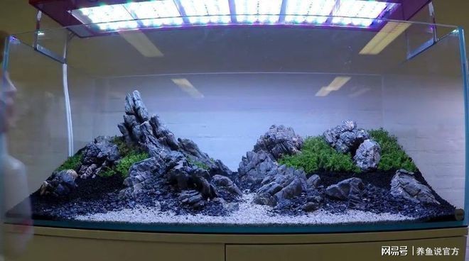 魚缸水景布置圖片欣賞大全（魚缸水景布置圖片欣賞大全集）