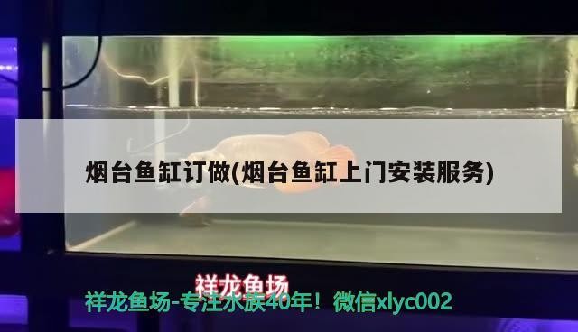 煙臺魚缸訂做(煙臺魚缸上門安裝服務)