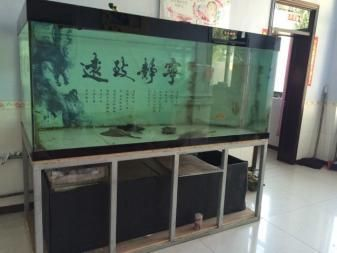1米8長60厘米寬魚缸多重啊：1.8米長60厘米寬魚缸多重