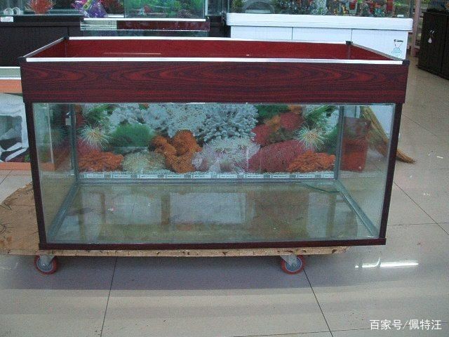 玻璃膠魚缸能用幾年嗎視頻：玻璃膠魚缸使用壽命主要取決于所使用的玻璃膠類型以及日常的維護情況