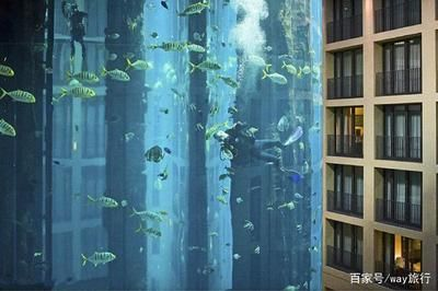 大魚缸怎么搬上樓梯：搬運(yùn)大魚缸上樓梯搬家