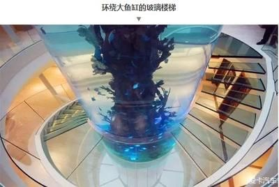 大魚缸怎么搬上樓梯：搬運(yùn)大魚缸上樓梯搬家