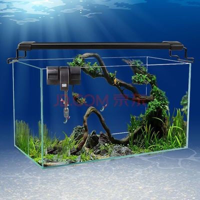 不用打理的魚缸過濾器怎么用：不用打理的魚缸過濾器安裝方法是使用它的第一步
