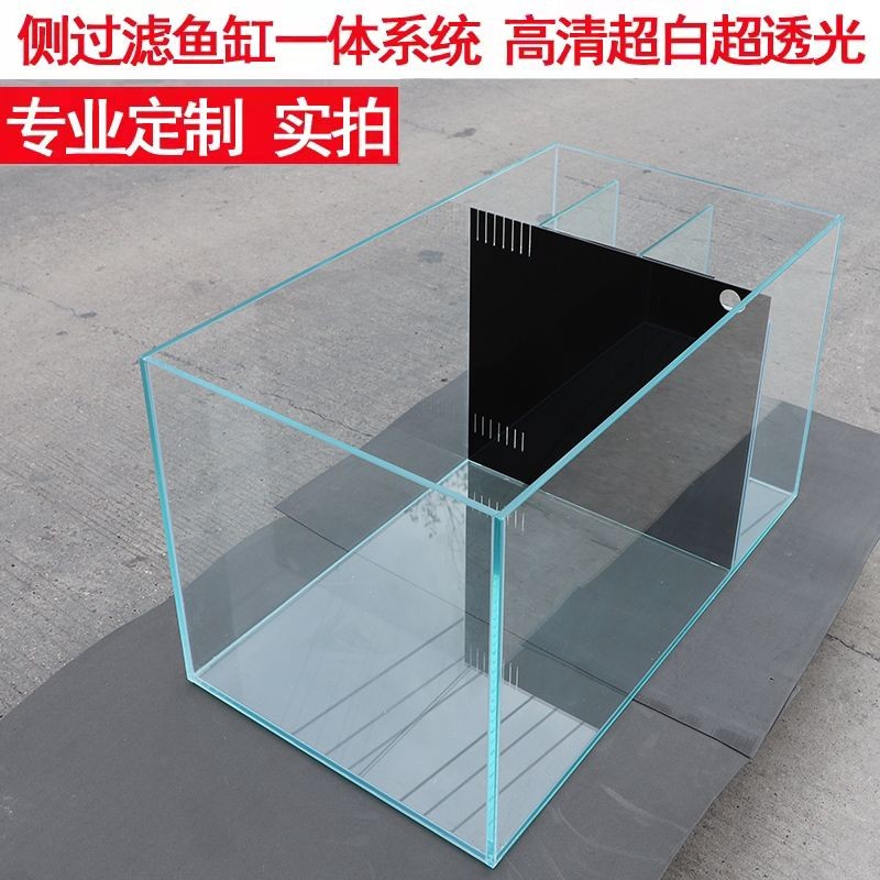 背濾魚缸貼紙：魚缸添加背濾和貼紙是兩種常見的裝飾和過濾方式