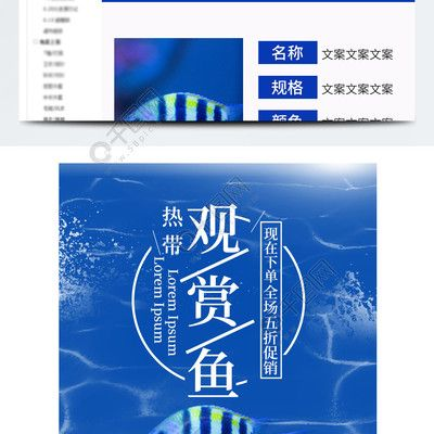 觀賞魚的文案短句（有關觀賞魚的優美短句）