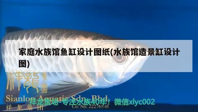 家庭水族館魚缸設計圖紙(水族館造景缸設計圖) 家庭水族館魚缸設計圖紙(水族館造景缸設計圖) 森森魚缸