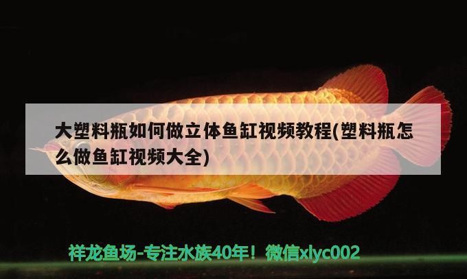 大塑料瓶如何做立體魚缸視頻教程(塑料瓶怎么做魚缸視頻大全)
