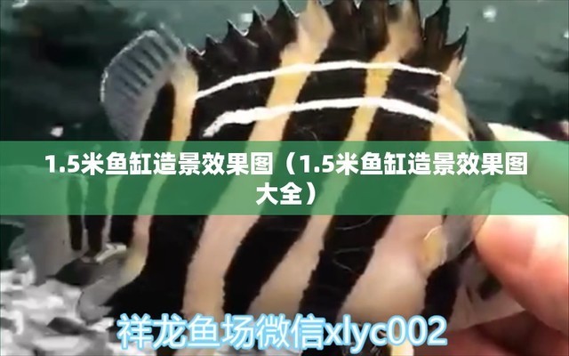 魚缸怎么保暖（魚缸怎么保暖最好）