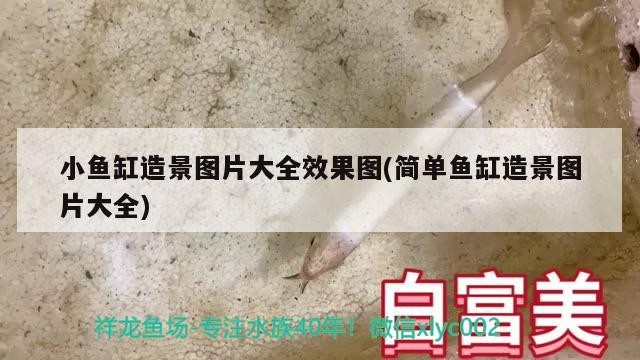 博特拉大學(xué)讀博費(fèi)用：博特拉大學(xué)留學(xué)利弊