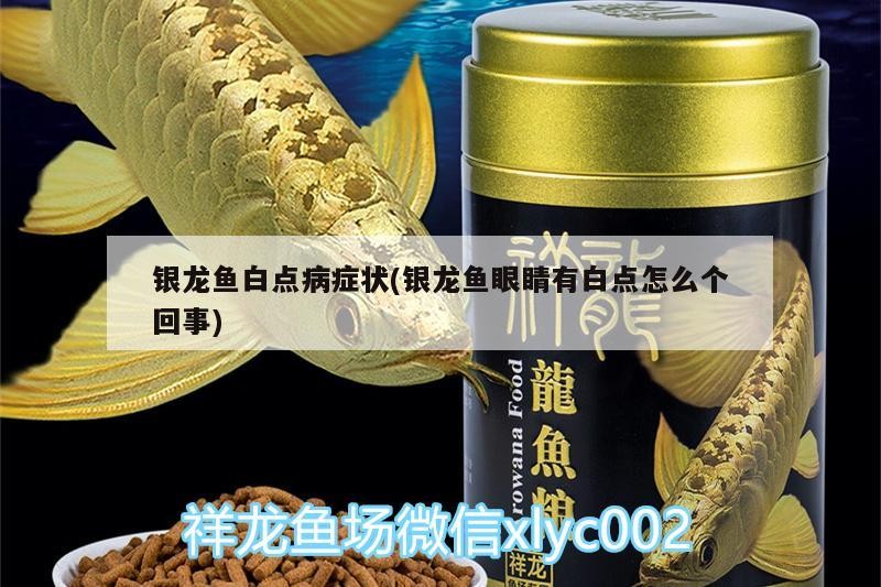 銀龍魚白點病癥狀(銀龍魚眼睛有白點怎么個回事)