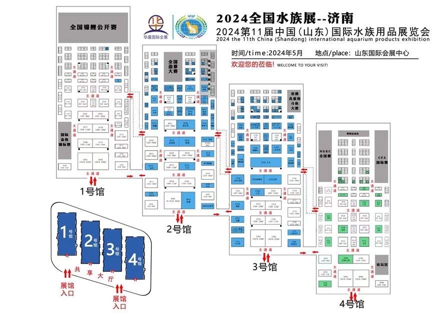 廣州魚缸批發市場大紅龍出了魚友家又收了條金問題金龍