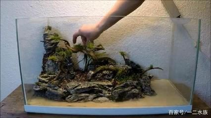 150魚缸造景教程