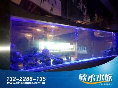 大型亞克力訂做魚缸：超大型亞克力魚缸定制