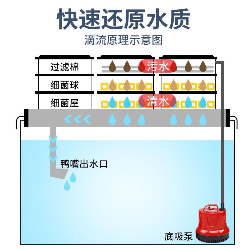 大型魚缸水循環系統原理：大型魚缸水循環系統的原理