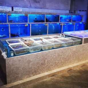 玻璃魚缸改造成別的家具可以用嗎：玻璃魚缸可以改造成什么樣的家具？