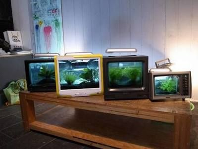 玻璃魚缸改造成別的家具可以用嗎：玻璃魚缸可以改造成什么樣的家具？