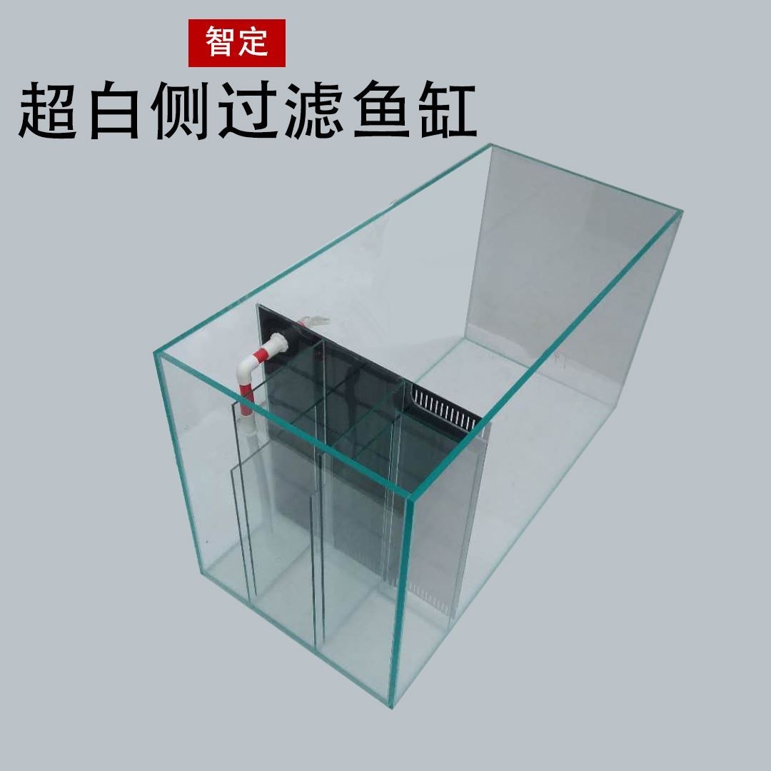 側過濾魚缸怎么放濾材：側過濾魚缸濾材擺放順序和方法對于維持良好的水質和促進硝化細菌的繁殖至關重要