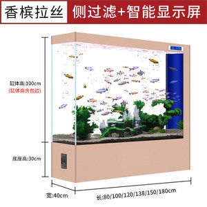 側過濾魚缸怎么放濾材：側過濾魚缸濾材擺放順序和方法對于維持良好的水質和促進硝化細菌的繁殖至關重要