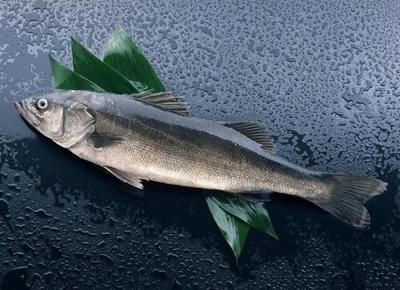 阜陽龍魚vs祥龍魚場（探討阜陽龍魚與祥龍魚場之間的差異時，我們需要明確兩個概念）