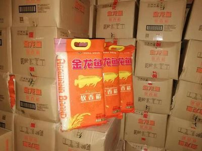 阜陽龍魚vs祥龍魚場（探討阜陽龍魚與祥龍魚場之間的差異時，我們需要明確兩個概念）