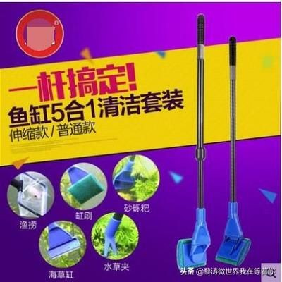 擦魚缸專用工具有哪些：如何正確使用魚缸清潔工具